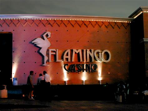 Casino de merlo flamingo